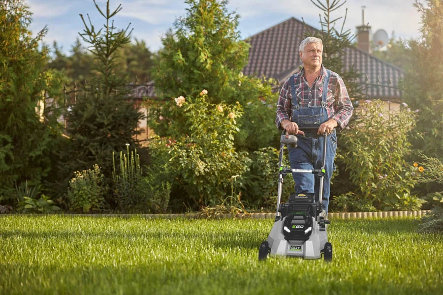 best electric lawn mower for small lawns